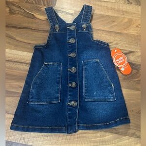 NEW 18 Month Girl Denim Dress